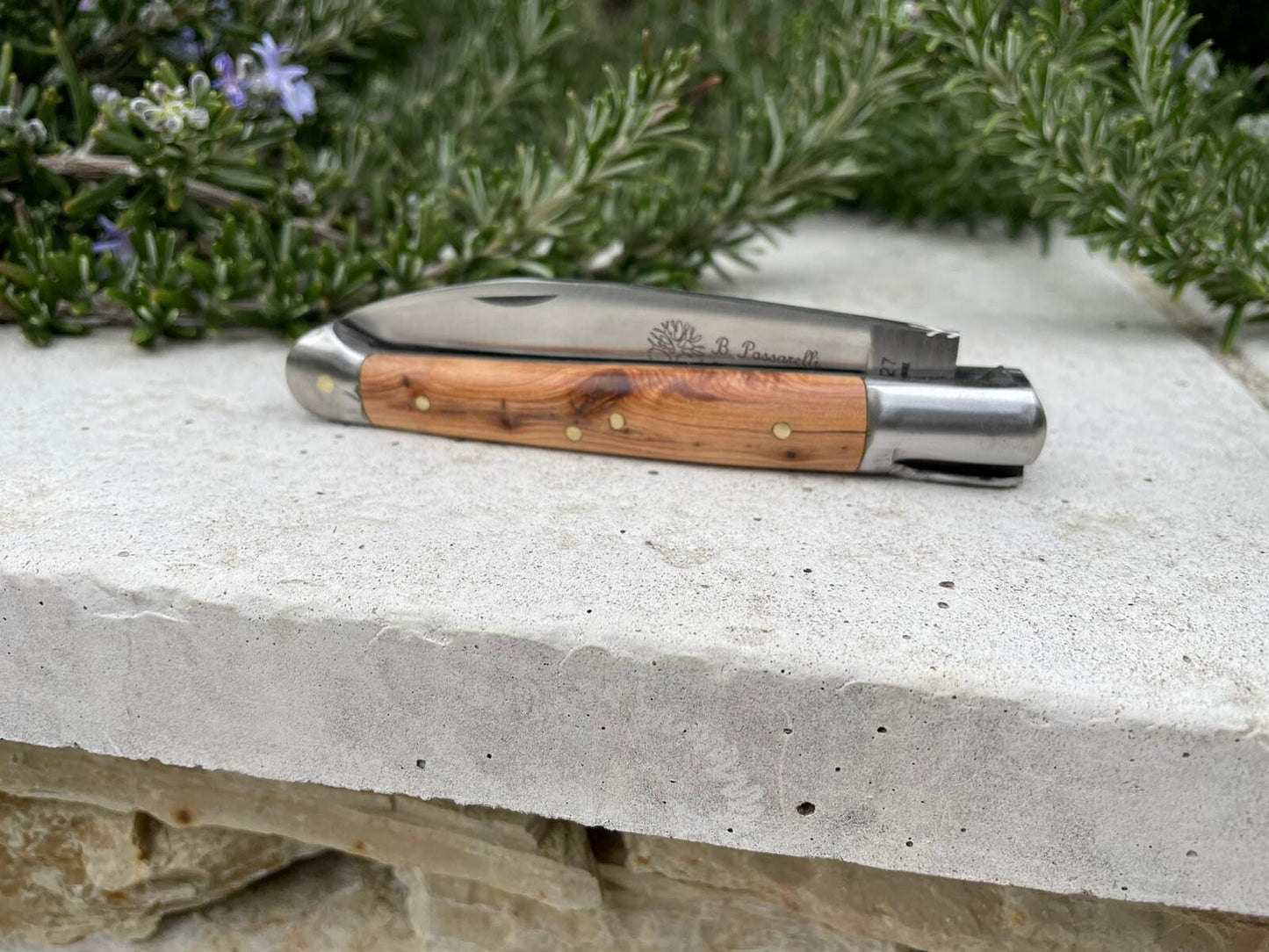 Paar Cade-Lupenplatten