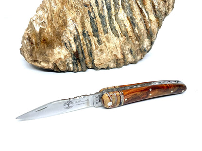 Coutellerie Passarelli - Couteau Alsacien lame pliable 10 cm mitre en molaire de mammouth, loupe d’Amboine naturelle