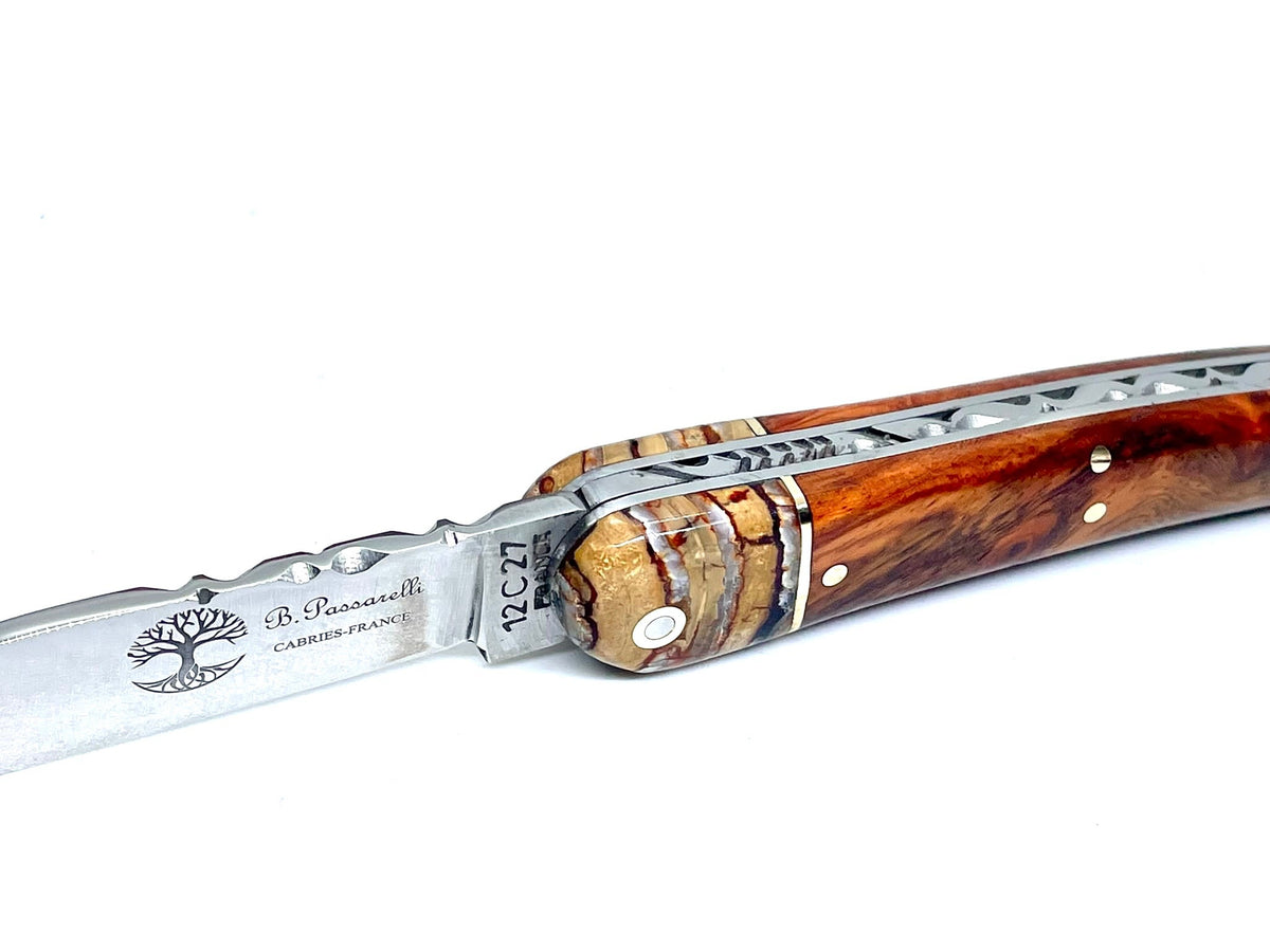 Coutellerie Passarelli - Couteau Alsacien lame pliable 10 cm mitre en molaire de mammouth, loupe d’Amboine naturelle