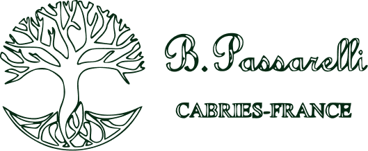 Logo B Passarelli vert