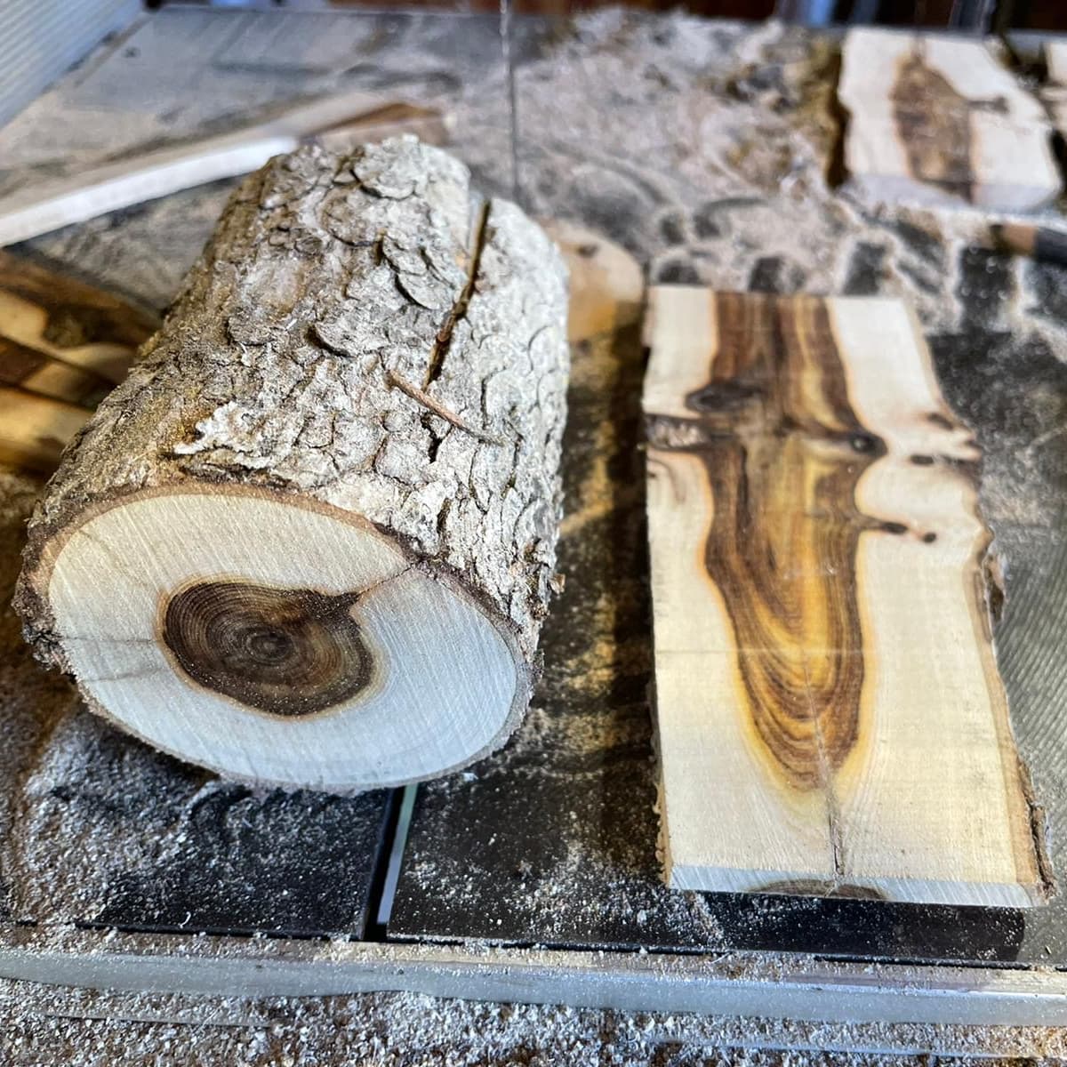 Un bois noble qui servira à fabriquer un couteau